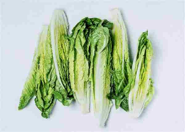 Lechuga