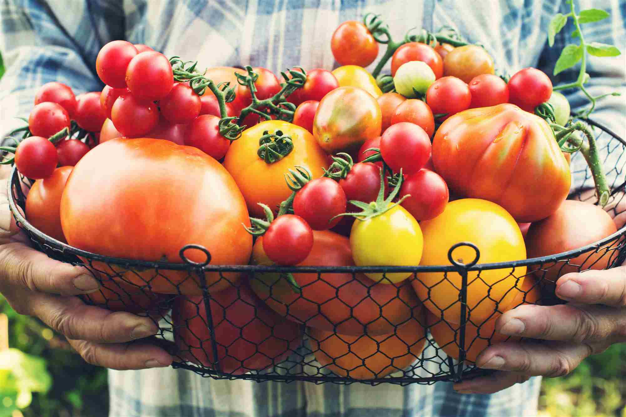 6 beneficios para la salud de los tomates