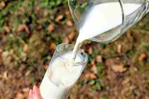 Leche de avena: alternativa beneficiosa para el corazón