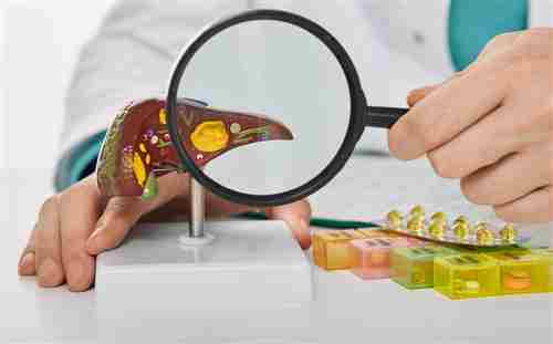 Proporcionado por The Hearty Soul Enfermedad hepática humana, diagnóstico y tratamiento del hígado. Médico que muestra el modelo anatómico del hígado para el tratamiento de la hepatitis, la cirrosis y el cáncer.