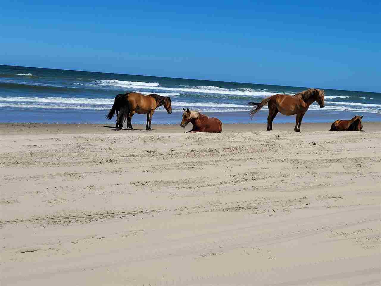 Playa Corolla, Bancos Exteriores