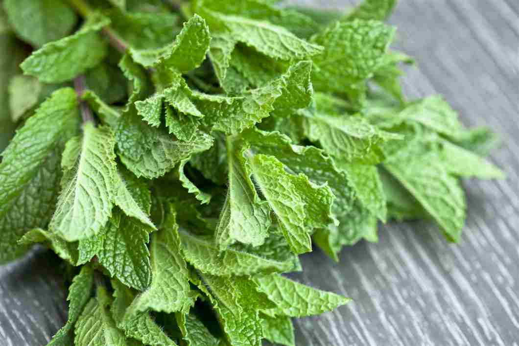 Beneficios para la salud de la menta