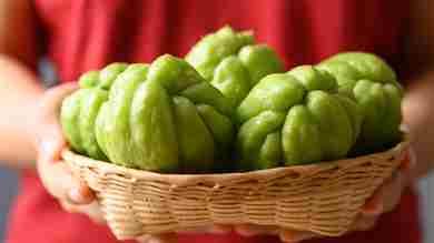 fruta de chayote