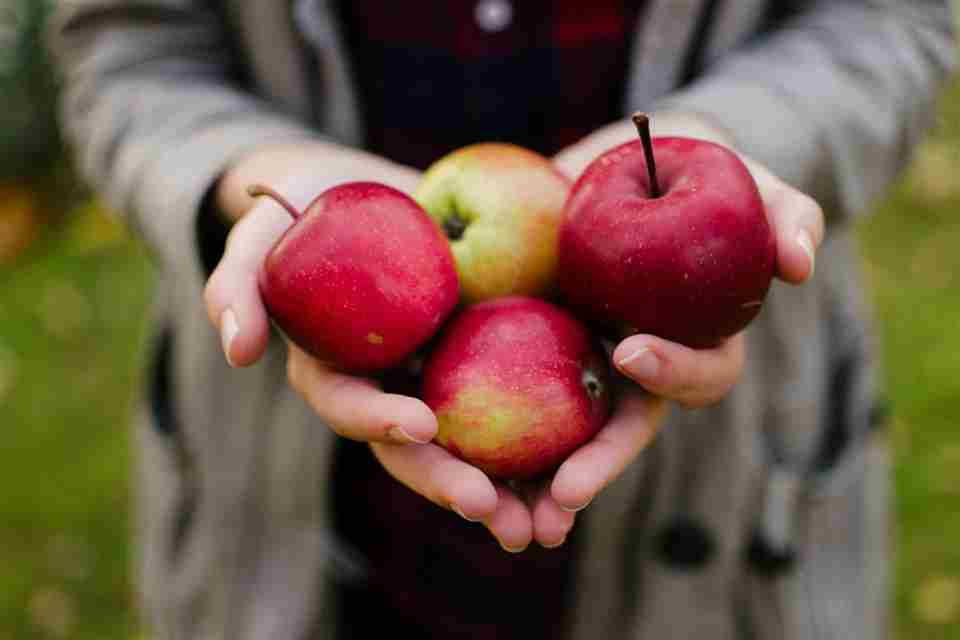 manzanas manzanas